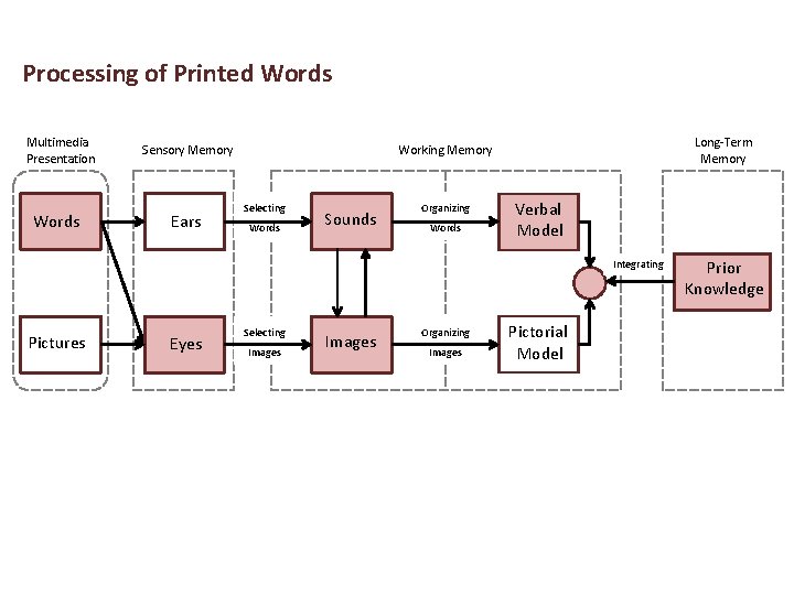 Processing of Printed Words Multimedia Presentation Sensory Memory Words Ears Long-Term Memory Working Memory