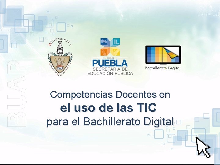 Competencias Docentes en el uso de las TIC para el Bachillerato Digital Esta obra