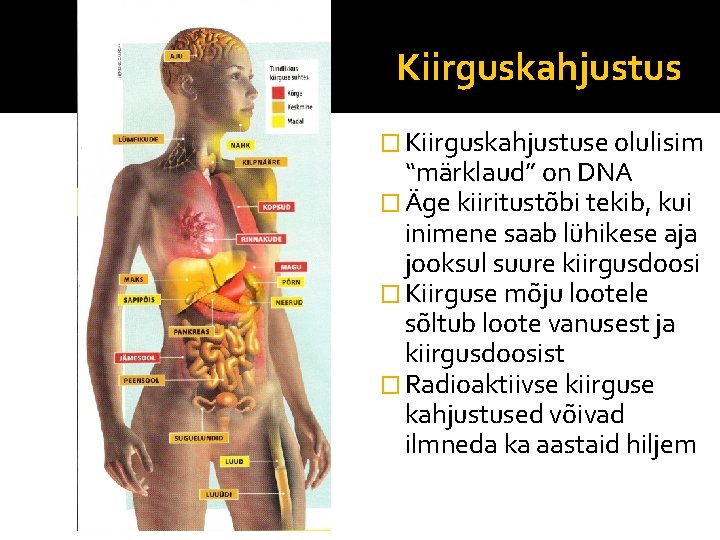 Kiirguskahjustus � Kiirguskahjustuse olulisim “märklaud” on DNA � Äge kiiritustõbi tekib, kui inimene saab