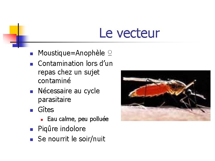 Le vecteur n n Moustique=Anophèle ♀ Contamination lors d’un repas chez un sujet contaminé