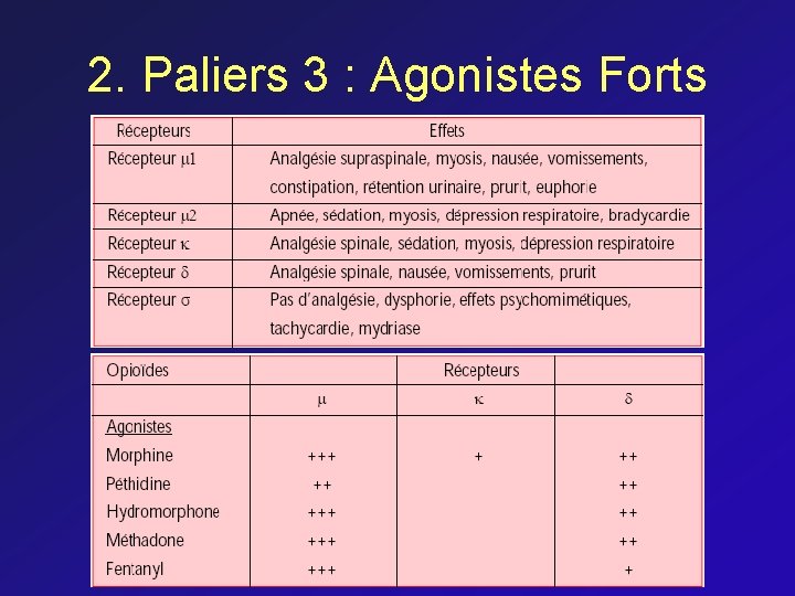 2. Paliers 3 : Agonistes Forts 