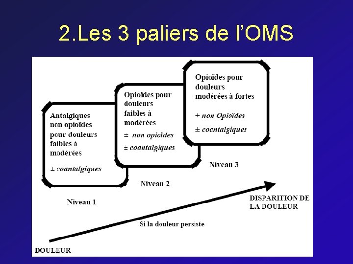 2. Les 3 paliers de l’OMS 