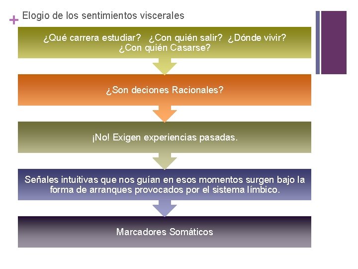 + Elogio de los sentimientos viscerales ¿Qué carrera estudiar? ¿Con quién salir? ¿Dónde vivir?