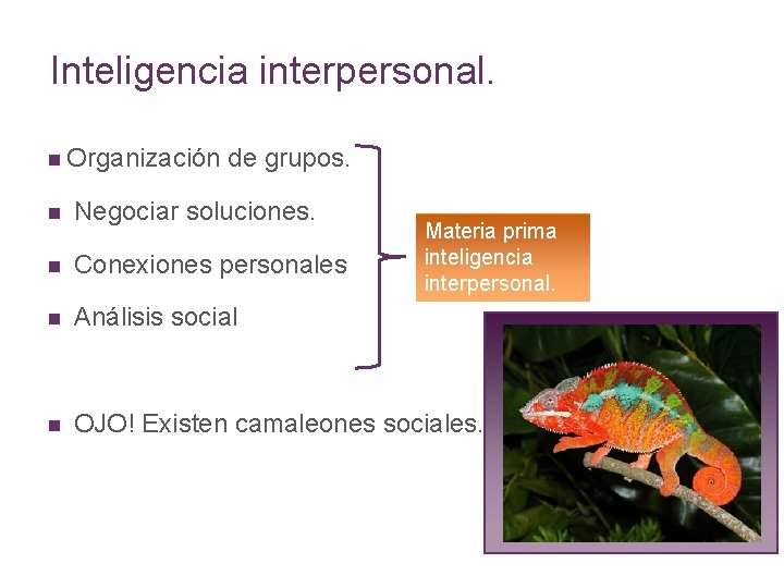 Inteligencia interpersonal. n Organización de grupos. n Negociar soluciones. n Conexiones personales n Análisis