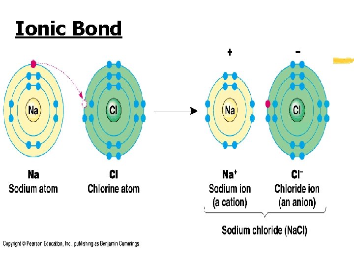 Ionic Bond 