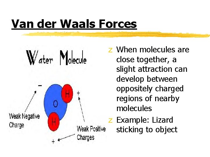 Van der Waals Forces z When molecules are close together, a slight attraction can