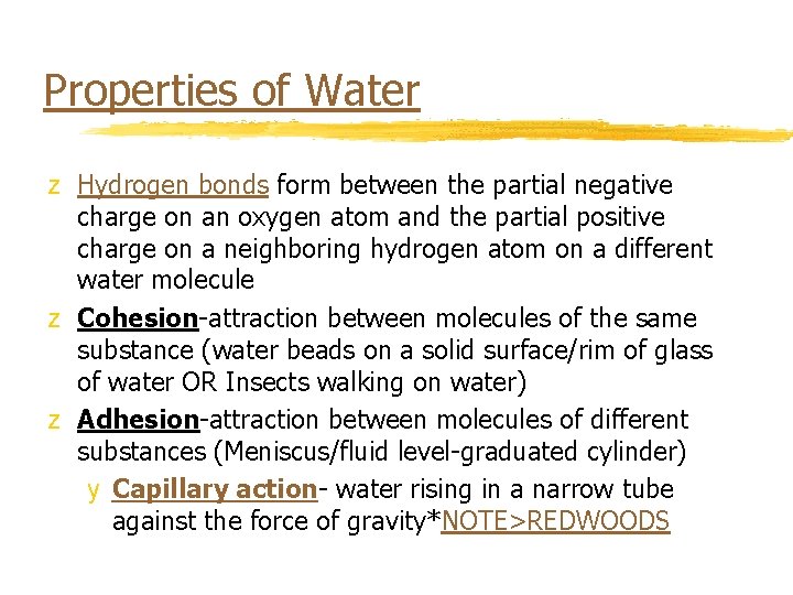 Properties of Water z Hydrogen bonds form between the partial negative charge on an
