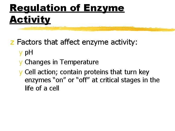 Regulation of Enzyme Activity z Factors that affect enzyme activity: y p. H y