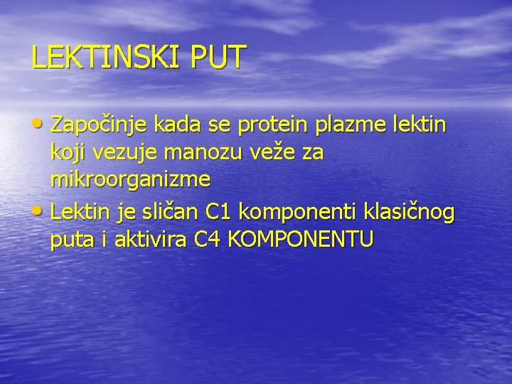 LEKTINSKI PUT • Započinje kada se protein plazme lektin koji vezuje manozu veže za LEKTINSKI PUT • Započinje kada se protein plazme lektin koji vezuje manozu veže za
