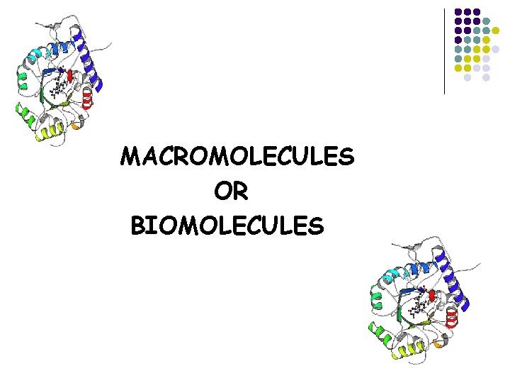 MACROMOLECULES OR BIOMOLECULES 