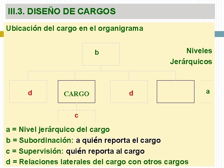 III. 3. DISEÑO DE CARGOS Ubicación del cargo en el organigrama Niveles Jerárquicos b