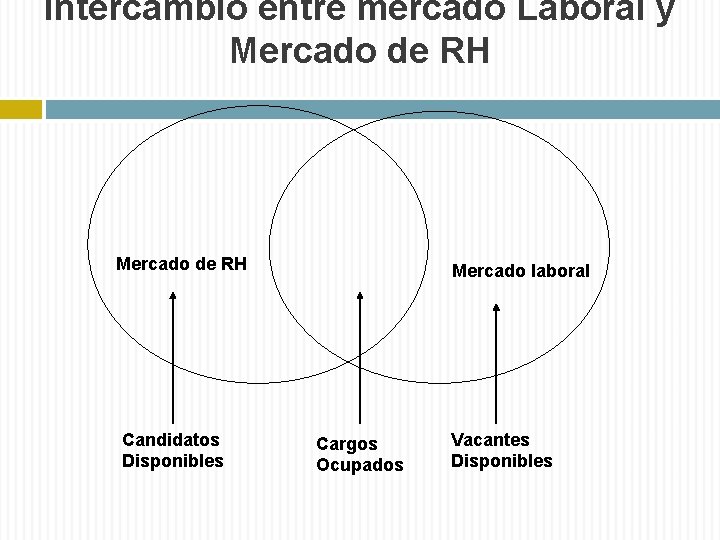 Intercambio entre mercado Laboral y Mercado de RH Candidatos Disponibles Mercado laboral Cargos Ocupados