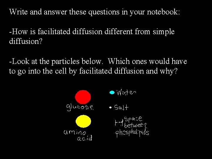 Write and answer these questions in your notebook: -How is facilitated diffusion different from Write and answer these questions in your notebook: -How is facilitated diffusion different from