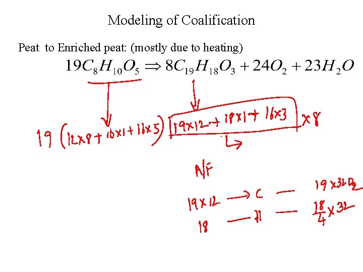 Modeling of Coalification Peat to Enriched peat: (mostly due to heating) 