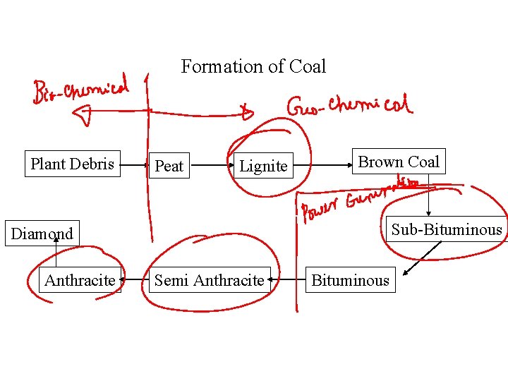 Formation of Coal Plant Debris Peat Lignite Brown Coal Sub-Bituminous Diamond Anthracite Semi Anthracite