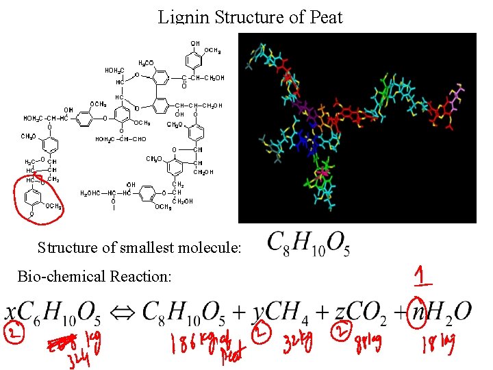 Lignin Structure of Peat Structure of smallest molecule: Bio-chemical Reaction: 
