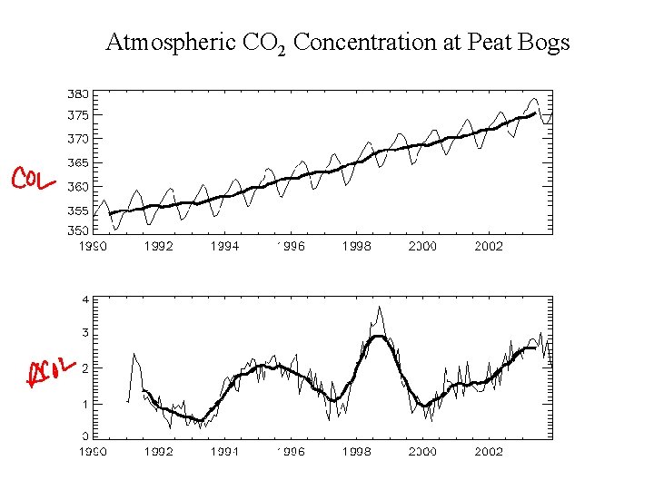Atmospheric CO 2 Concentration at Peat Bogs 