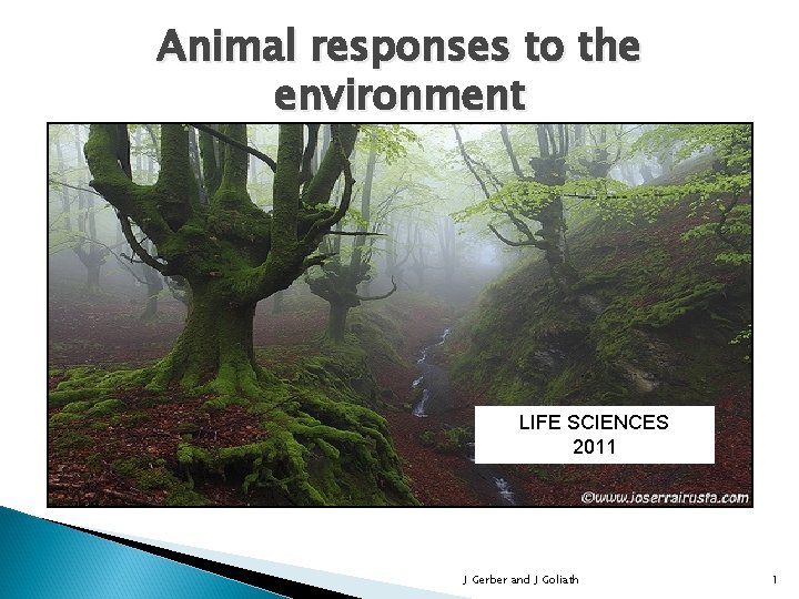 Animal responses to the environment LIFE SCIENCES 2011 J Gerber and J Goliath 1