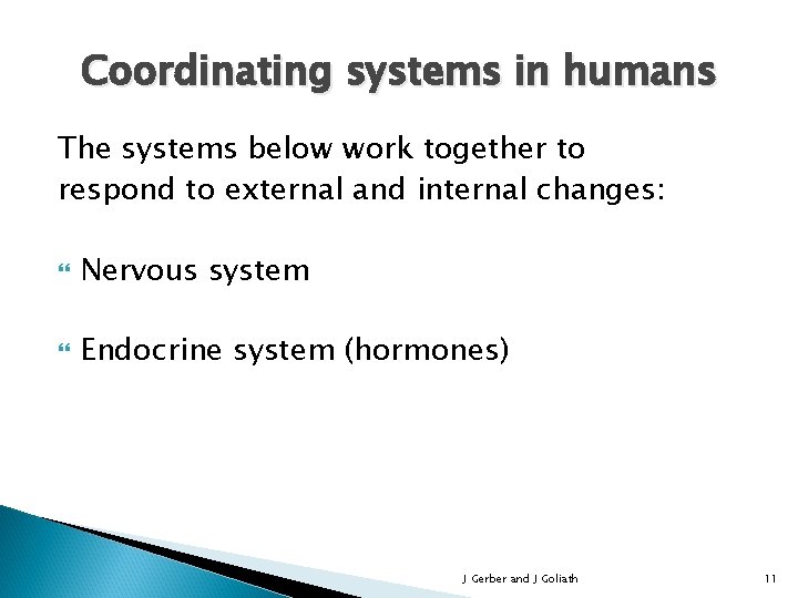 Coordinating systems in humans The systems below work together to respond to external and