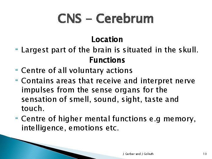 CNS - Cerebrum Location Largest part of the brain is situated in the skull.