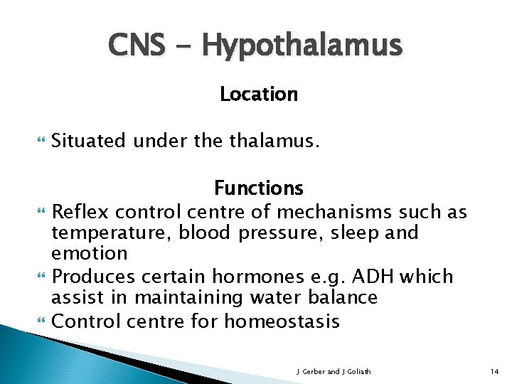 CNS - Hypothalamus Location Situated under the thalamus. Functions Reflex control centre of mechanisms