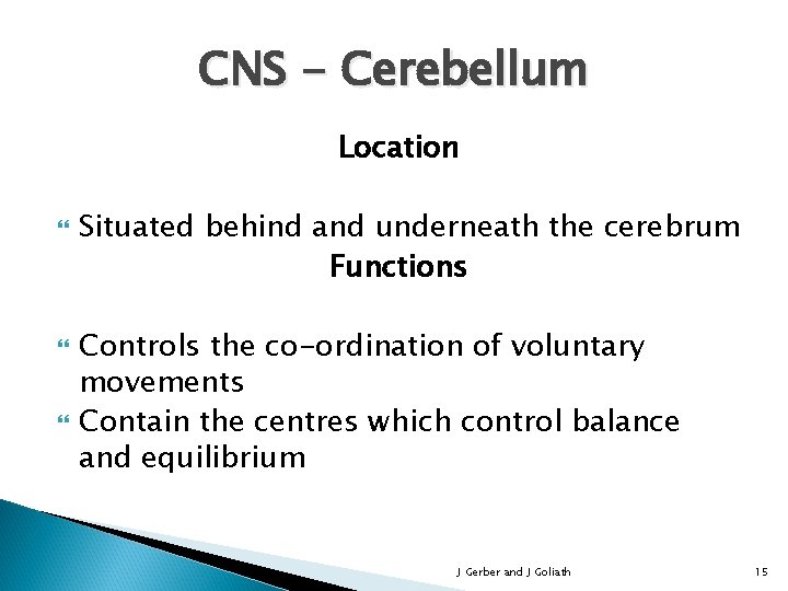 CNS - Cerebellum Location Situated behind and underneath the cerebrum Functions Controls the co-ordination