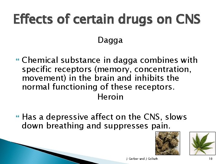 Effects of certain drugs on CNS Dagga Chemical substance in dagga combines with specific