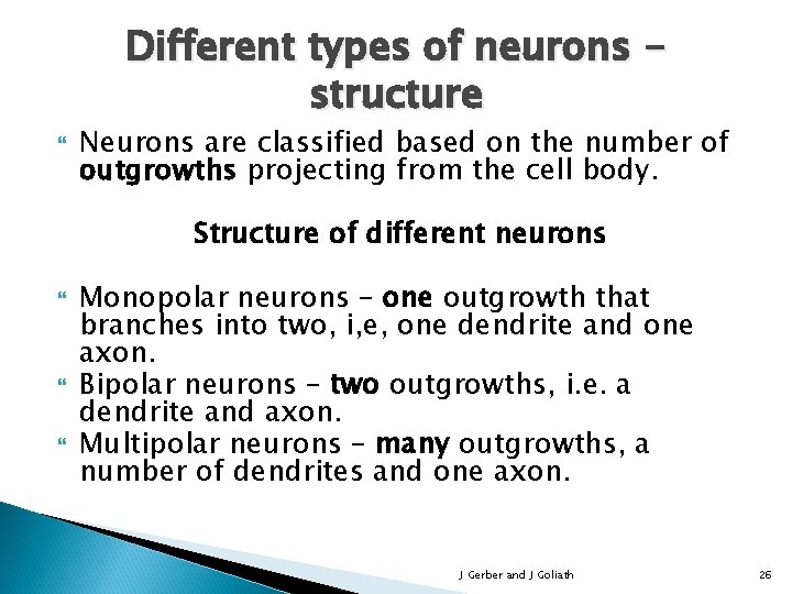 Different types of neurons structure Neurons are classified based on the number of outgrowths