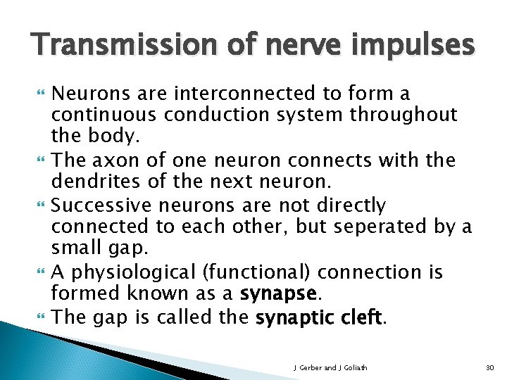 Transmission of nerve impulses Neurons are interconnected to form a continuous conduction system throughout