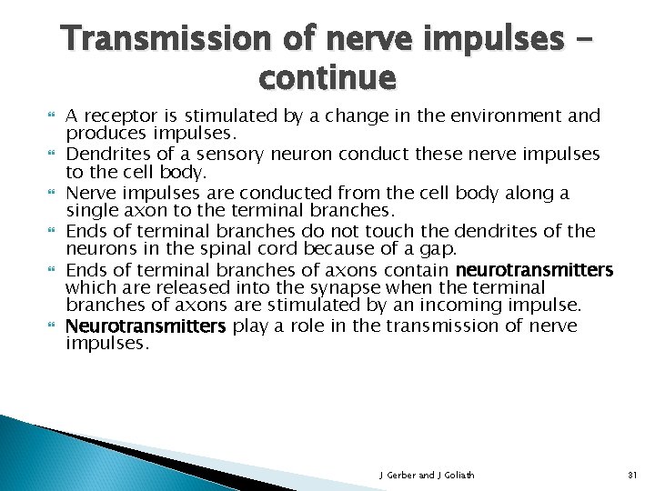 Transmission of nerve impulses continue A receptor is stimulated by a change in the