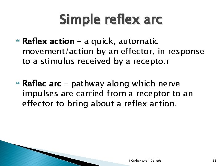 Simple reflex arc Reflex action – a quick, automatic movement/action by an effector, in