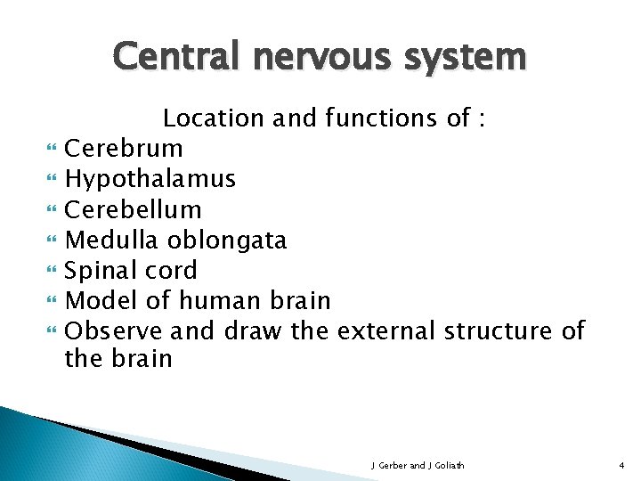 Central nervous system Location and functions of : Cerebrum Hypothalamus Cerebellum Medulla oblongata Spinal