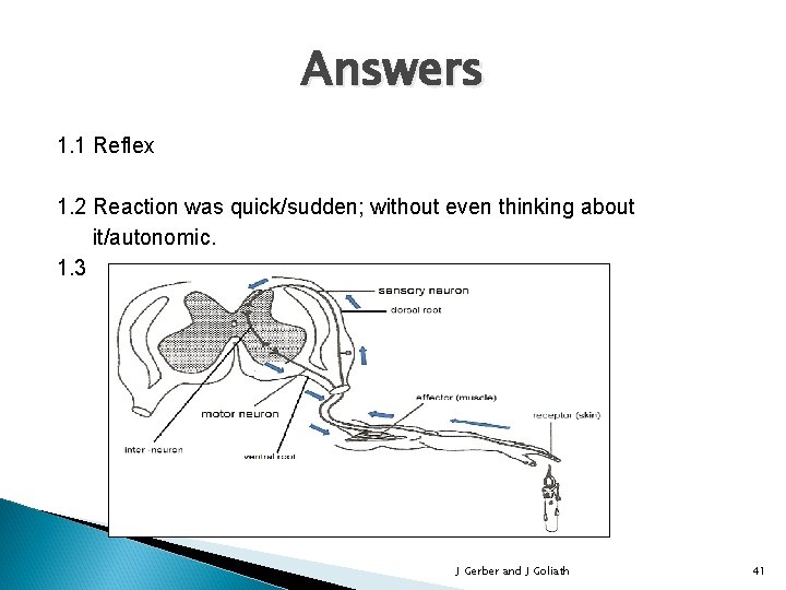 Answers 1. 1 Reflex 1. 2 Reaction was quick/sudden; without even thinking about it/autonomic.