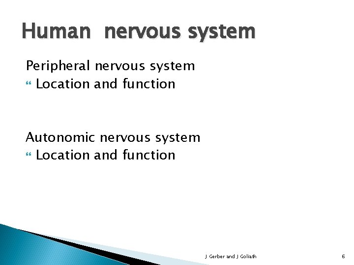 Human nervous system Peripheral nervous system Location and function Autonomic nervous system Location and