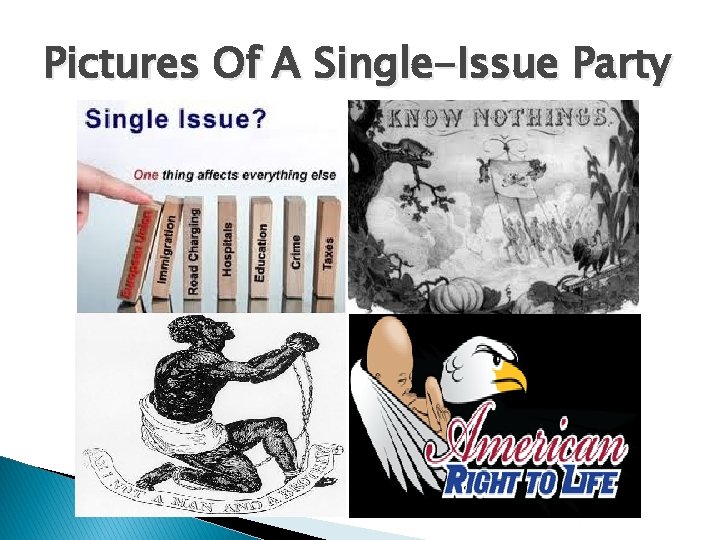 Pictures Of A Single-Issue Party 