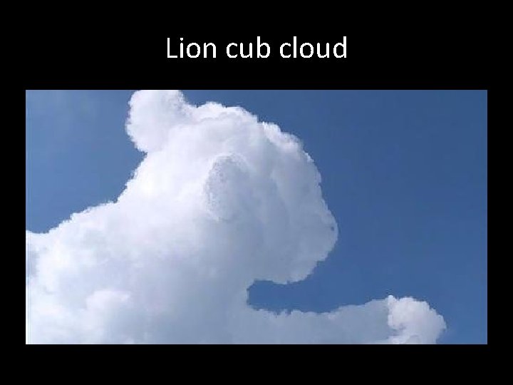 Lion cub cloud 