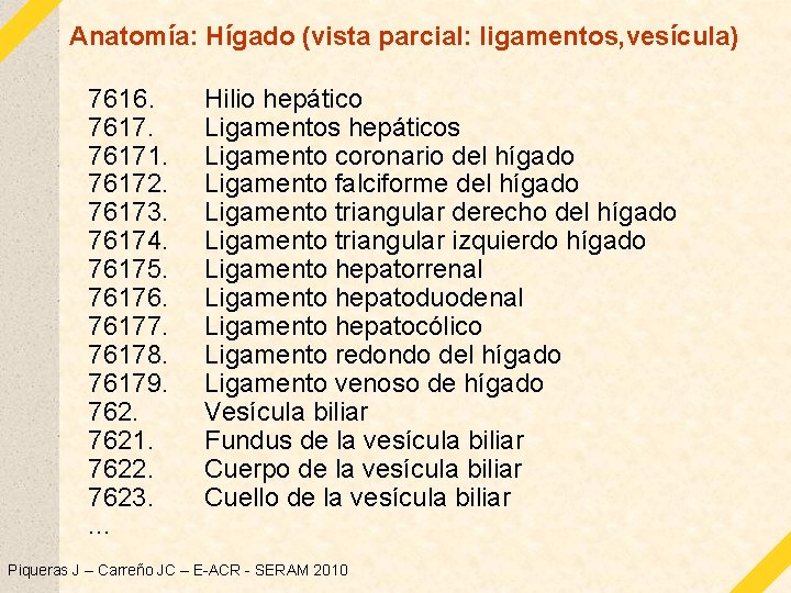 Anatomía: Hígado (vista parcial: ligamentos, vesícula) 7616. 76171. 76172. 76173. 76174. 76175. 76176. 76177.