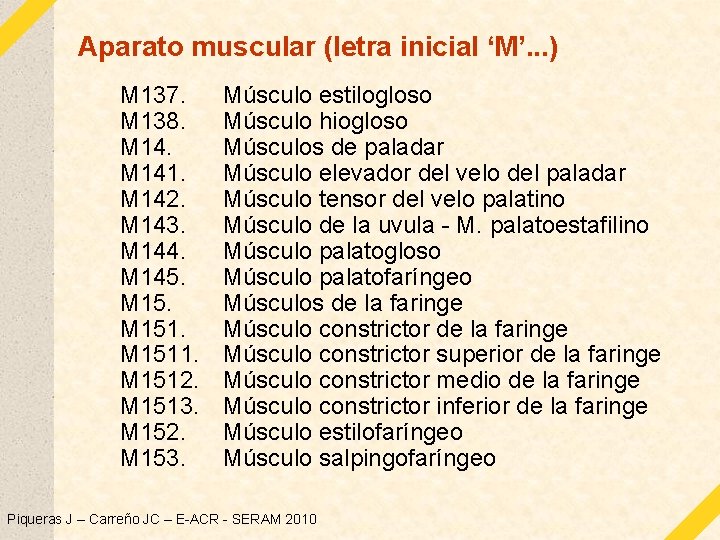 Aparato muscular (letra inicial ‘M’. . . ) M 137. M 138. M 141.