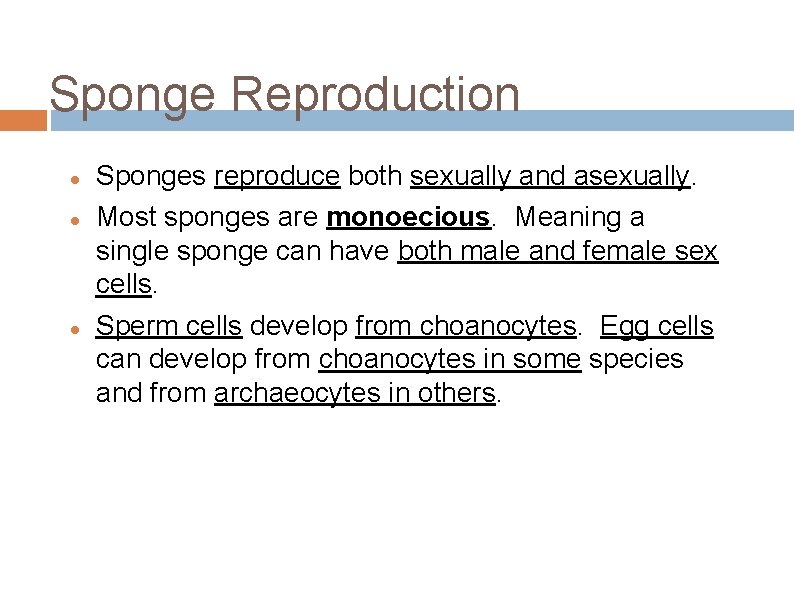 Sponge Reproduction Sponges reproduce both sexually and asexually. Most sponges are monoecious. Meaning a