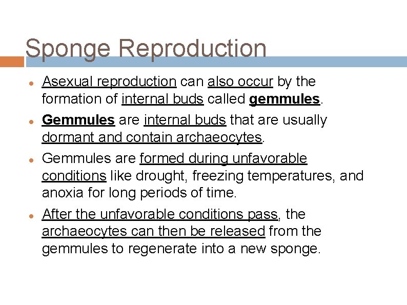 Sponge Reproduction Asexual reproduction can also occur by the formation of internal buds called