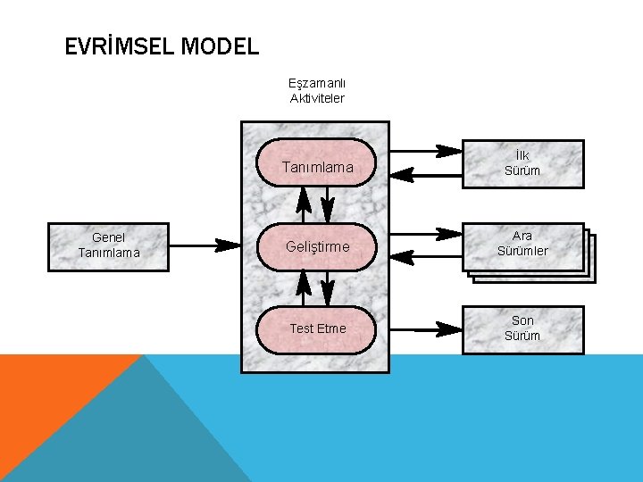 EVRİMSEL MODEL Eşzamanlı Aktiviteler Genel Tanımlama İlk Sürüm Geliştirme Ara Sürümler Test Etme Son