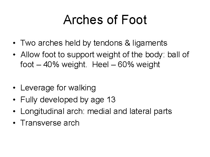 Arches of Foot • Two arches held by tendons & ligaments • Allow foot