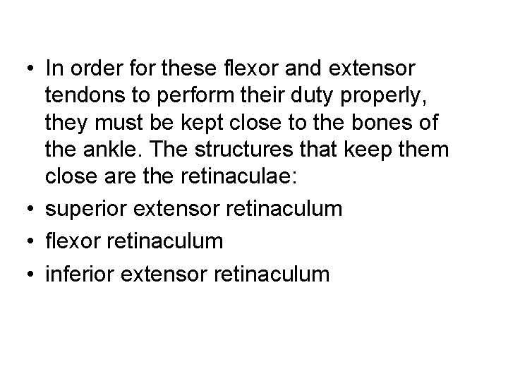  • In order for these flexor and extensor tendons to perform their duty