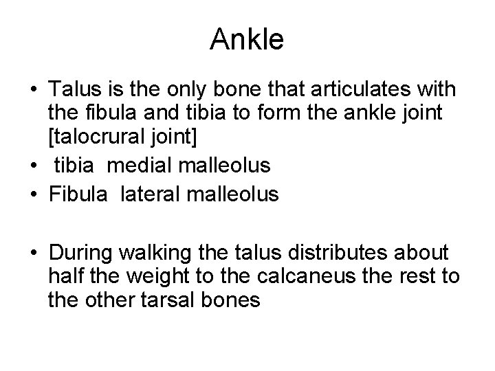 Ankle • Talus is the only bone that articulates with the fibula and tibia