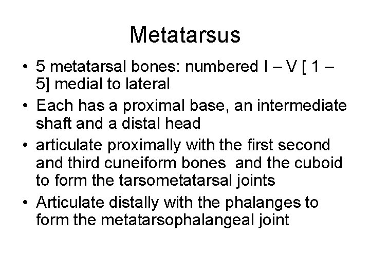 Metatarsus • 5 metatarsal bones: numbered I – V [ 1 – 5] medial