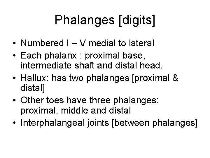 Phalanges [digits] • Numbered I – V medial to lateral • Each phalanx :