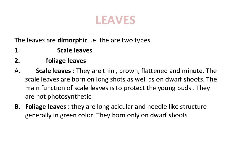 LEAVES The leaves are dimorphic i. e. the are two types 1. Scale leaves