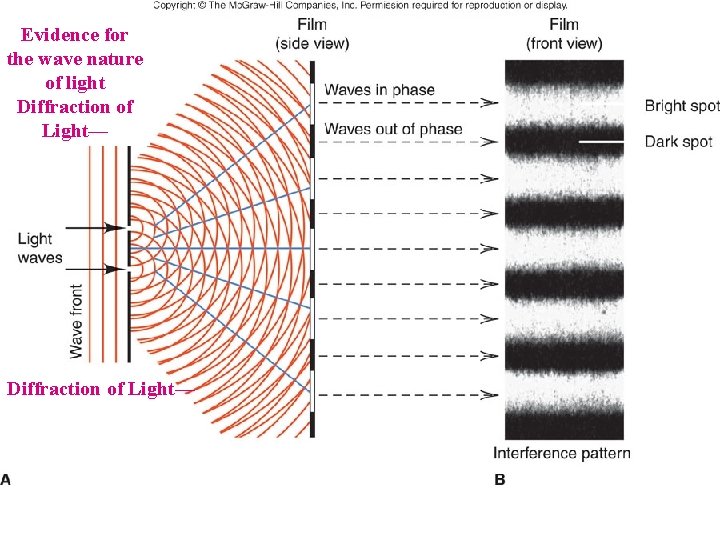 Evidence for the wave nature of light Diffraction of Light— 