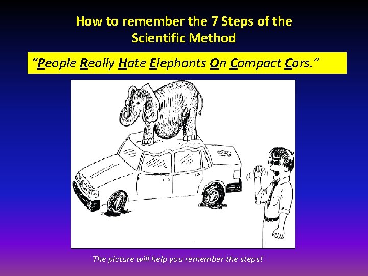 How to remember the 7 Steps of the Scientific Method “People Really Hate Elephants