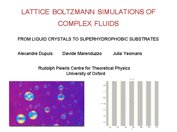 LATTICE BOLTZMANN SIMULATIONS OF COMPLEX FLUIDS FROM LIQUID